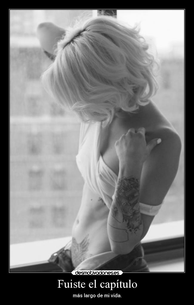 Fuiste el capítulo - 