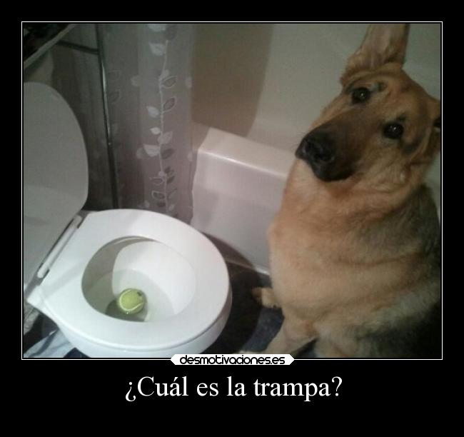 ¿Cuál es la trampa? - 