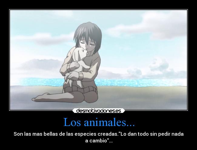 Los animales... -