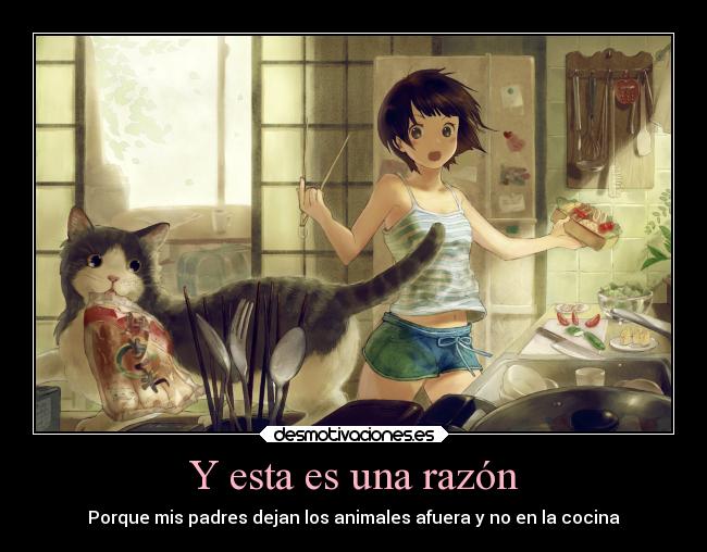 Y esta es una razón - Porque mis padres dejan los animales afuera y no en la cocina