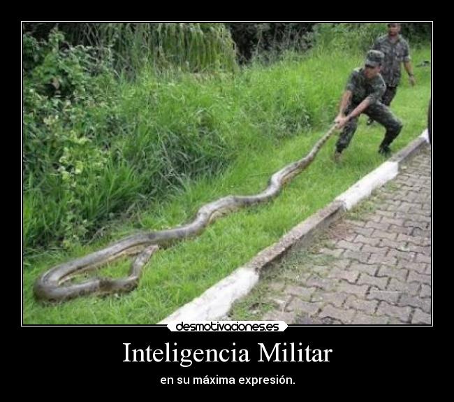 Inteligencia Militar -