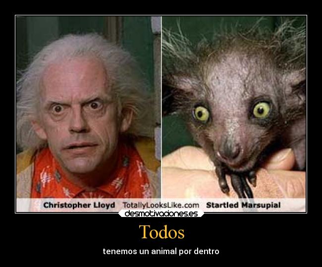 Todos - tenemos un animal por dentro