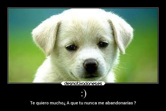 :) - Te quiero mucho¿ A que tu nunca me abandonarías ?