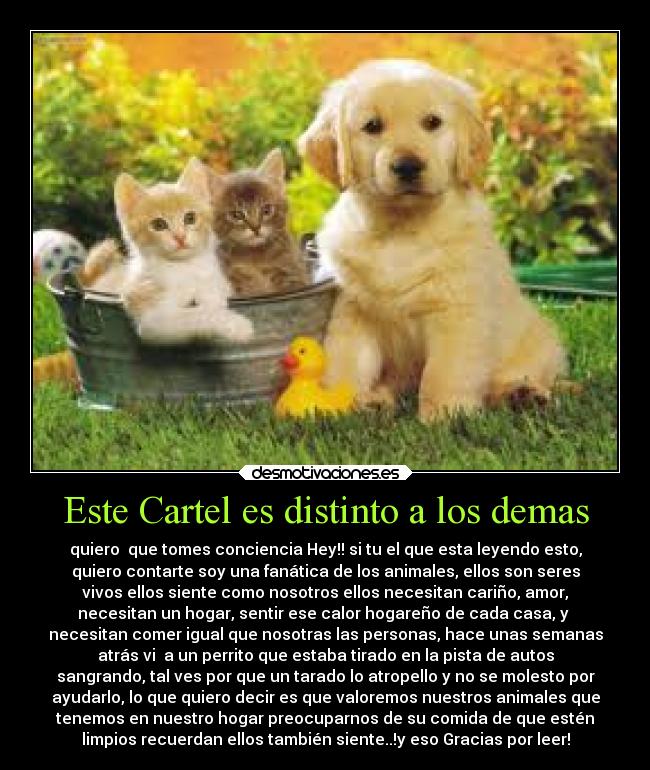 carteles animales desmotivaciones