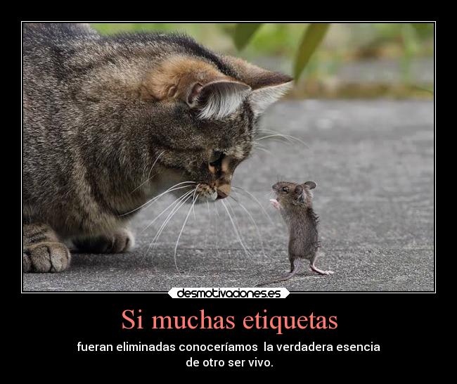 Si muchas etiquetas - fueran eliminadas conoceríamos la verdadera esencia
de otro ser vivo.
