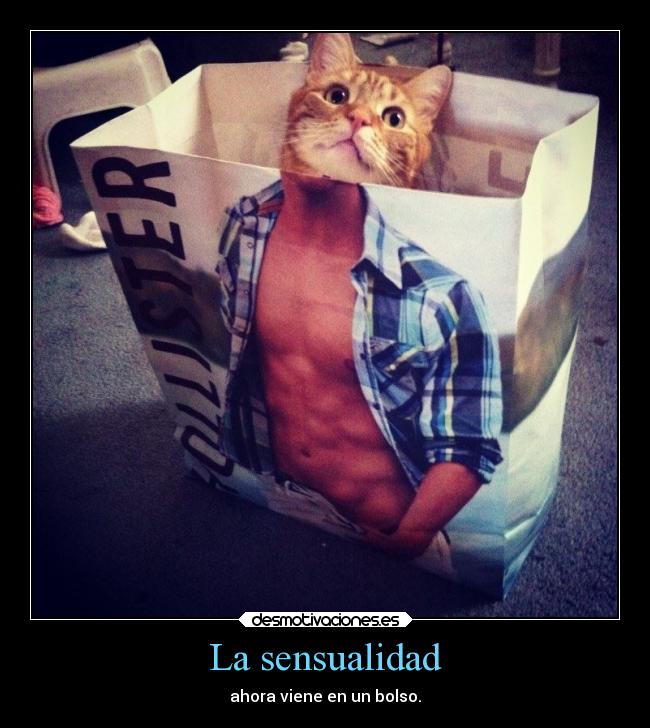 La sensualidad - ahora viene en un bolso.