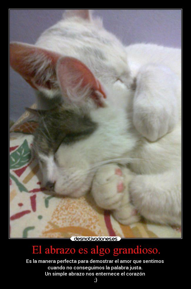 El abrazo es algo grandioso. - Es la manera perfecta para demostrar el amor que sentimos 
cuando no conseguimos la palabra justa. 
Un simple abrazo nos enternece el corazón 
;)