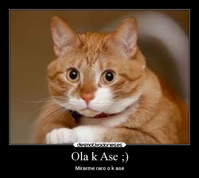 Ola k Ase ;) - 