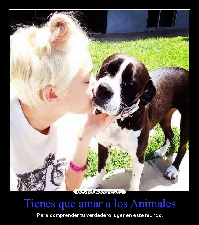 Tienes que amar a los Animales - Para comprender tu verdadero lugar en este mundo.