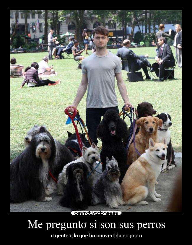 Me pregunto si son sus perros - 
