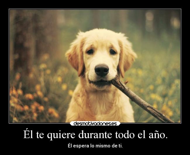 Él te quiere durante todo el año. - 