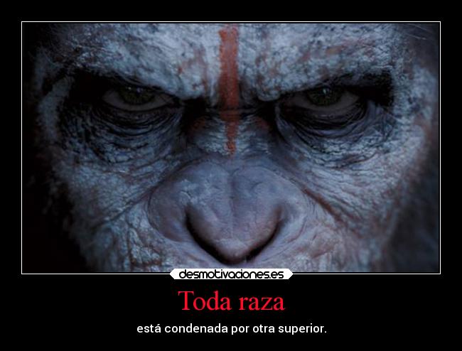 Toda raza -