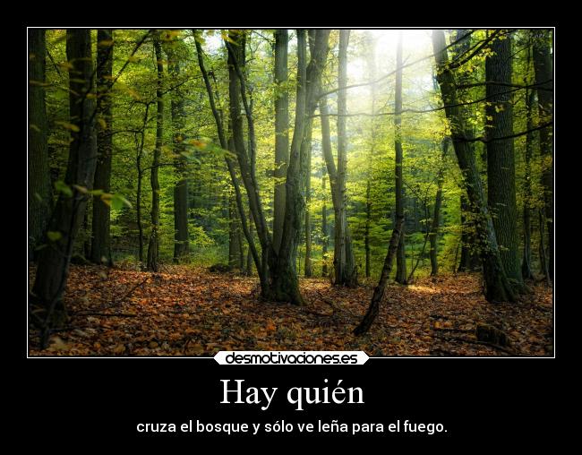Hay quién - 