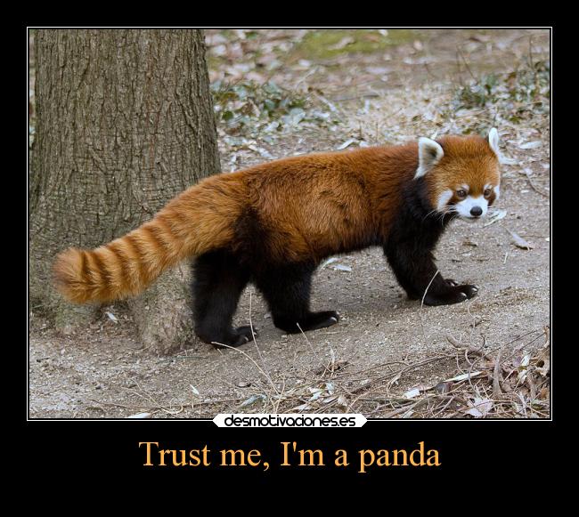 Trust me, Im a panda -