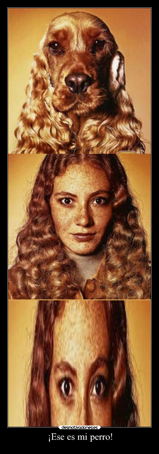 ¡Ese es mi perro! -