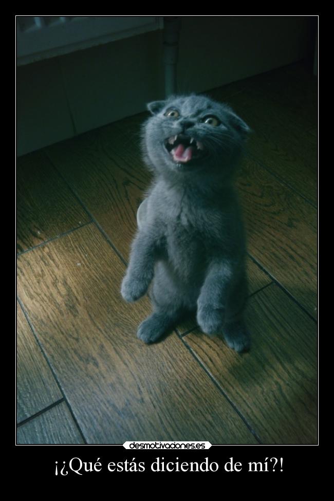 ¡¿Qué estás diciendo de mí?! - 