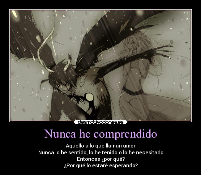 Nunca he comprendido - 