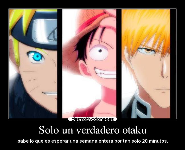 Solo un verdadero otaku - sabe lo que es esperar una semana entera por tan solo 20 minutos.