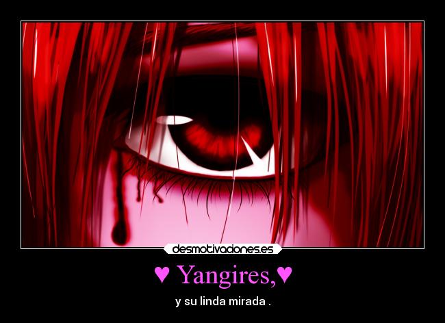 ♥ Yangires,♥ - y su linda mirada .