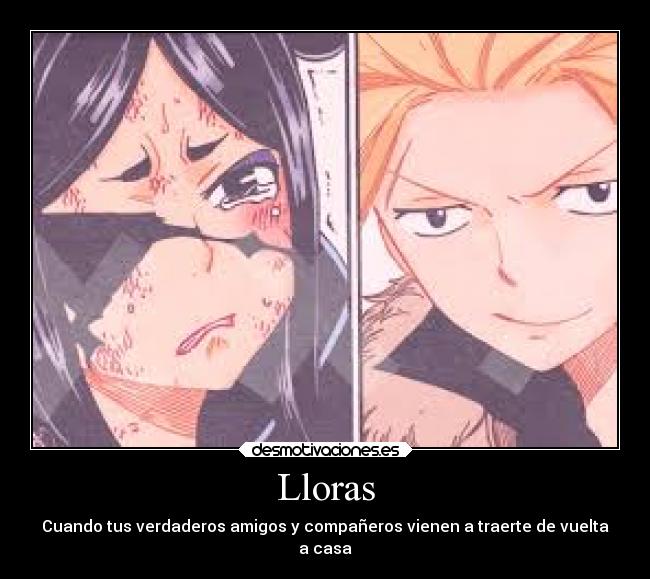 Lloras - Cuando tus verdaderos amigos y compañeros vienen a traerte de vuelta
a casa