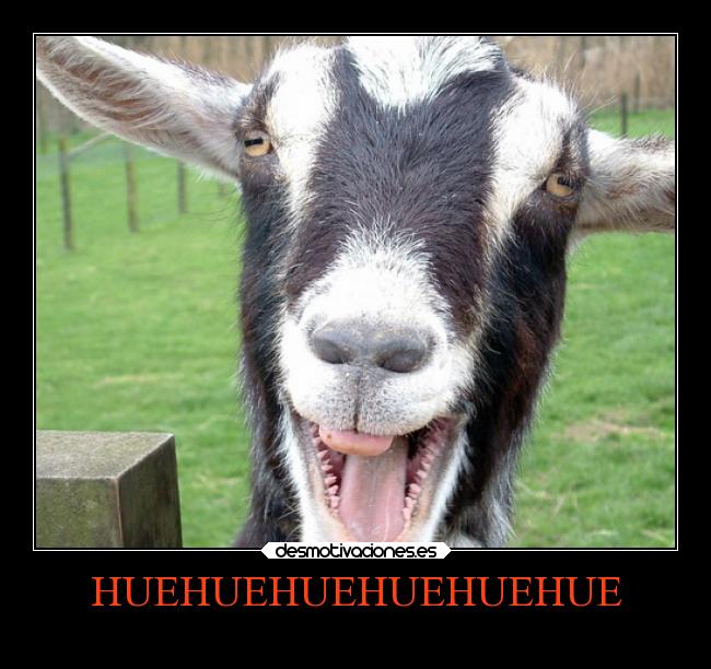 HUEHUEHUEHUEHUEHUE -