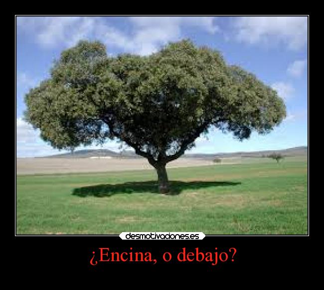 ¿Encina, o debajo? -