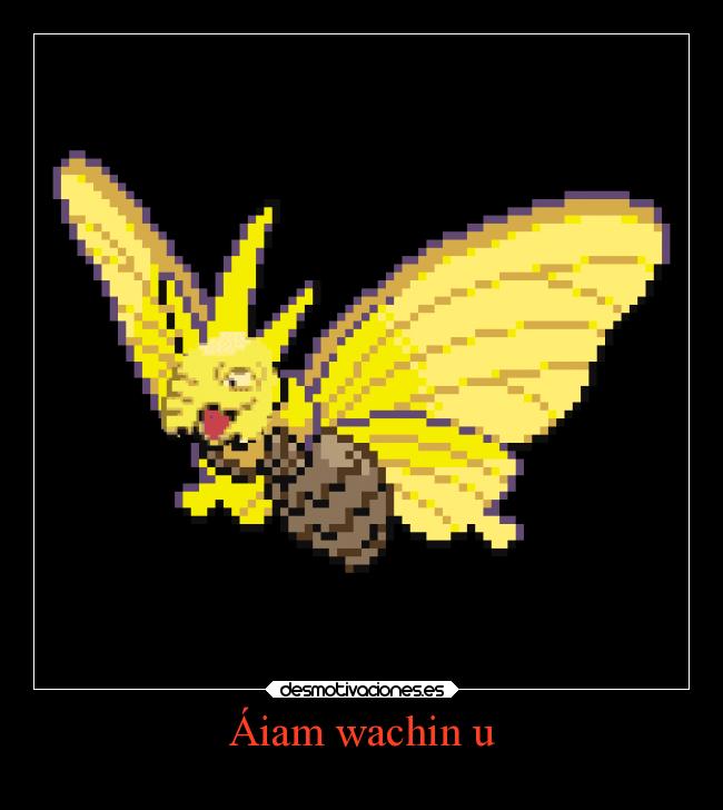 Áiam wachin u -