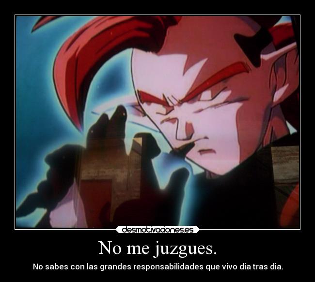 No me juzgues. - No sabes con las grandes responsabilidades que vivo dia tras dia.