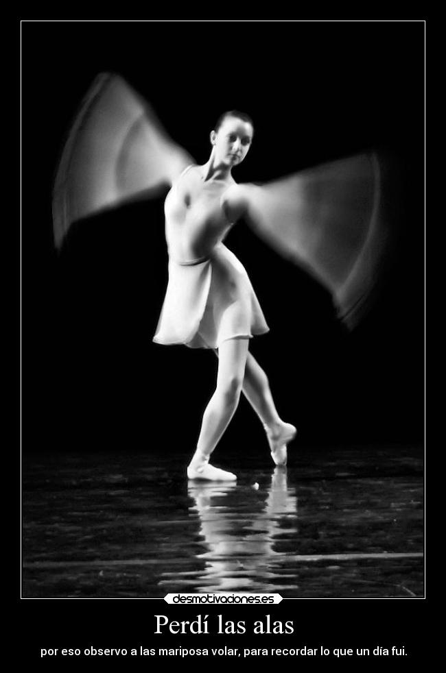 Perdí las alas - por eso observo a las mariposa volar, para recordar lo que un día fui.