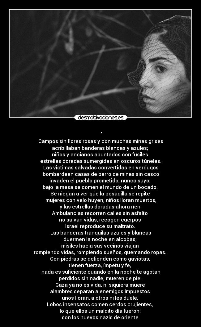 . - Campos sin flores rosas y con muchas minas grises
acribillaban banderas blancas y azules;
niños y ancianos apuntados con fusiles
estrellas doradas sumergidas en oscuros túneles.
Las victimas salvadas convertidas en verdugos
bombardean casas de barro de minas sin casco
invaden el pueblo prometido, nunca suyo;
bajo la mesa se comen el mundo de un bocado.
Se niegan a ver que la pesadilla se repite
mujeres con velo huyen, niños lloran muertos,
y las estrellas doradas ahora ríen.
Ambulancias recorren calles sin asfalto
no salvan vidas, recogen cuerpos
Israel reproduce su maltrato.
Las banderas tranquilas azules y blancas
duermen la noche en alcobas;
misiles hacia sus vecinos viajan
rompiendo vidas, rompiendo sueños, quemando ropas.
Con piedras se defienden como gaviotas,
tienen fuerza, ímpetu y fe,
nada es suficiente cuando en la noche te agotan
perdidos sin nadie, mueren de pie.
Gaza ya no es vida, ni siquiera muere
alambres separan a enemigos impuestos
unos lloran, a otros ni les duele.
Lobos insensatos comen cerdos crujientes,
lo que ellos un maldito día fueron;
son los nuevos nazis de oriente.