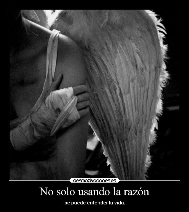 No solo usando la razón - 