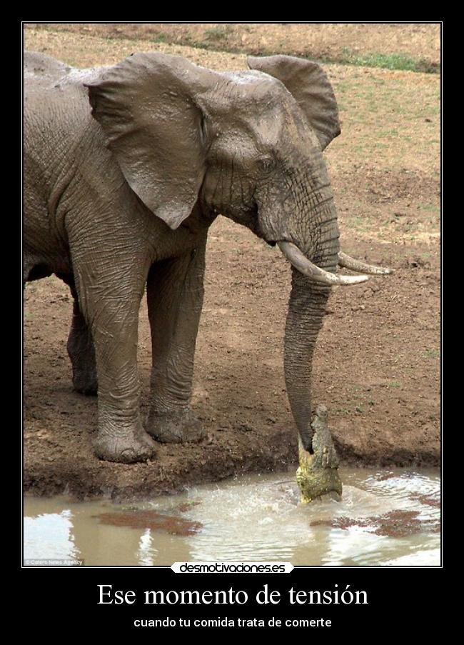 Ese momento de tensión -