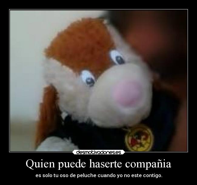 Quien puede haserte compañia - 