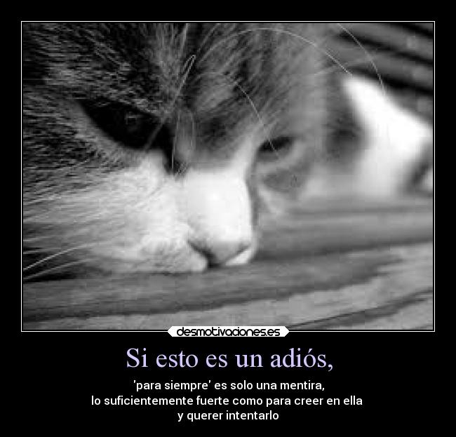 Si esto es un adiós, -