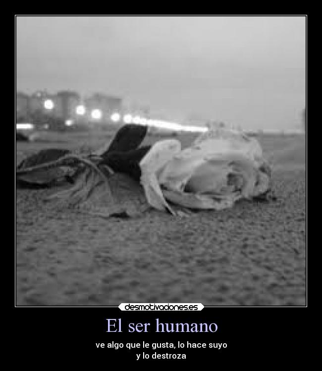 El ser humano - ve algo que le gusta, lo hace suyo
y lo destroza