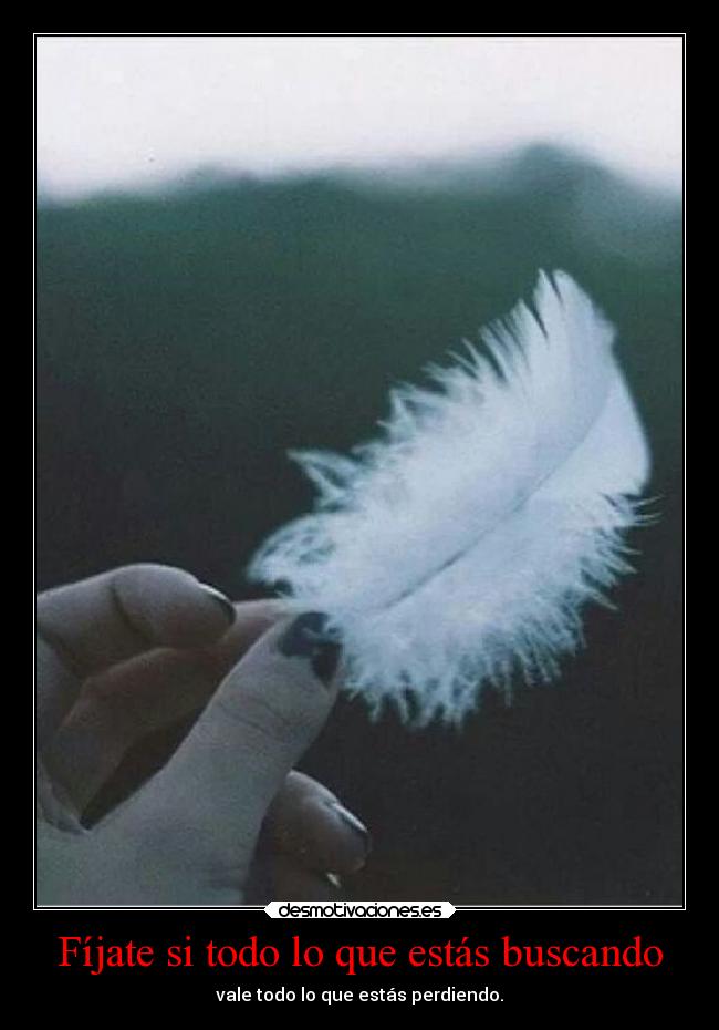 Fíjate si todo lo que estás buscando - 