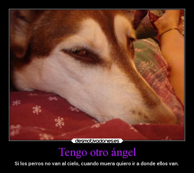 carteles ausencia desmotivaciones