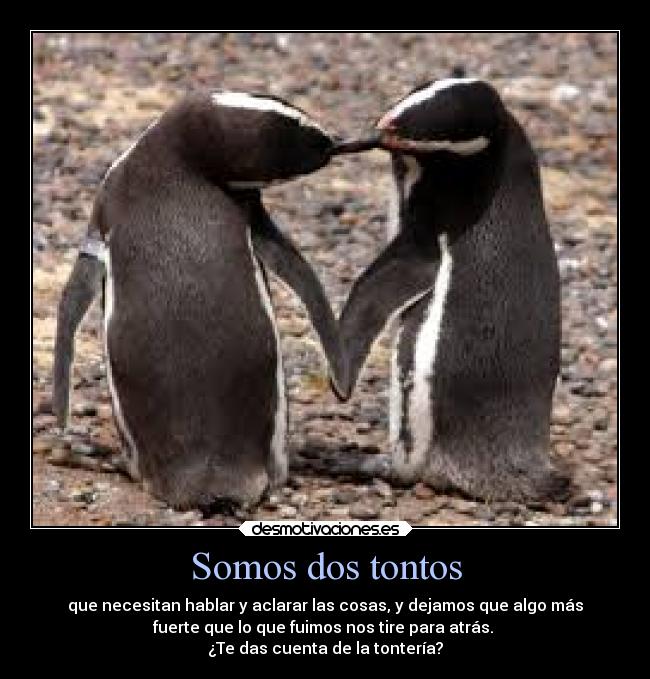 carteles ausencia dolor amor whateverweather13 amboslosabemos desmotivaciones