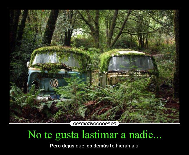 No te gusta lastimar a nadie... -
