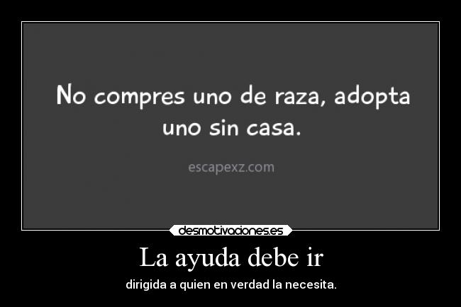 carteles ayuda amistad felicidad ayuda amigos perritos callejeros sk28 desmotivaciones