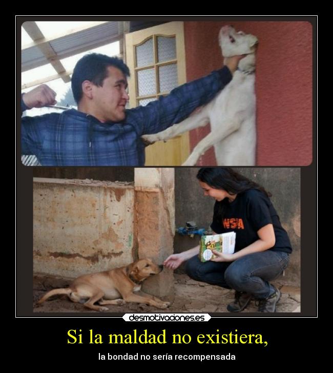 carteles ayuda confianza animales desmotivaciones