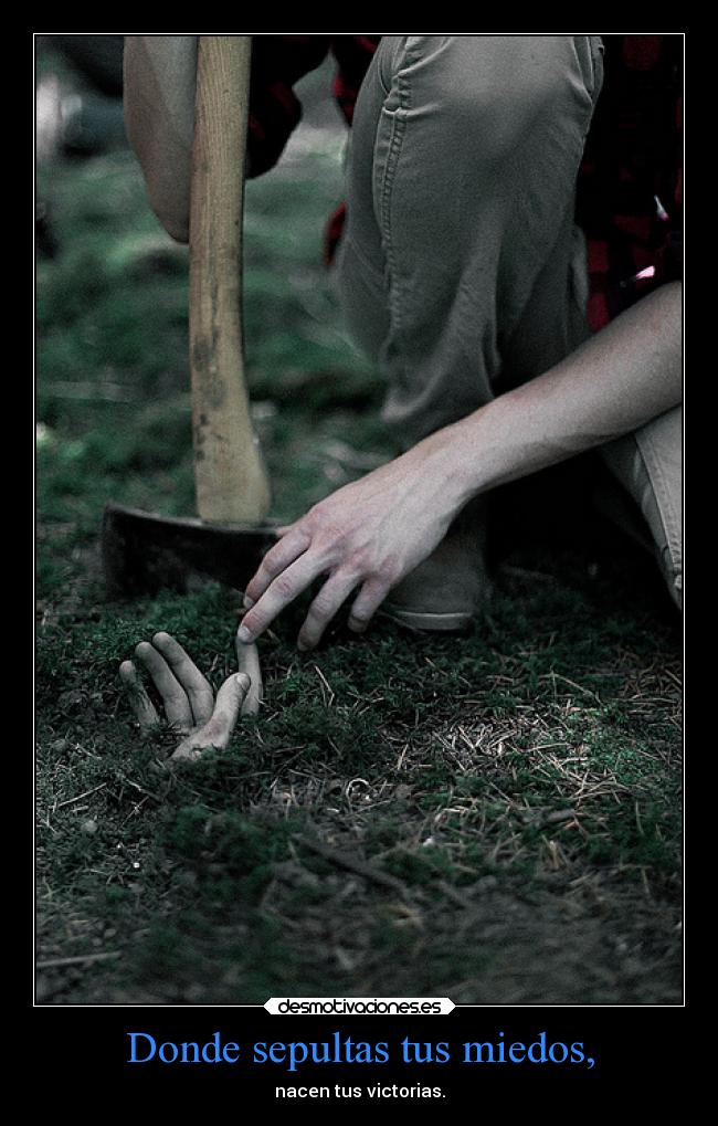 carteles ayuda siempremedejas cielosquelloran desmotivaciones