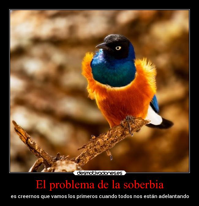 El problema de la soberbia -