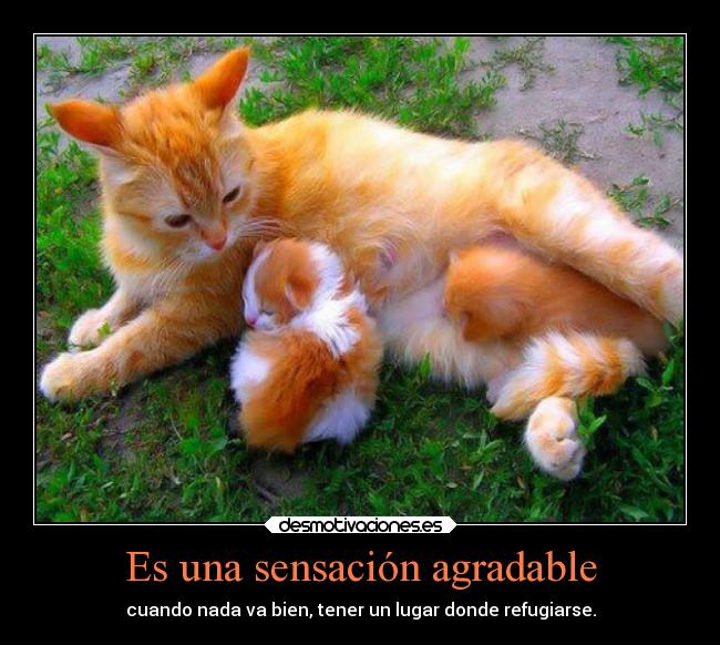 Es una sensación agradable - 