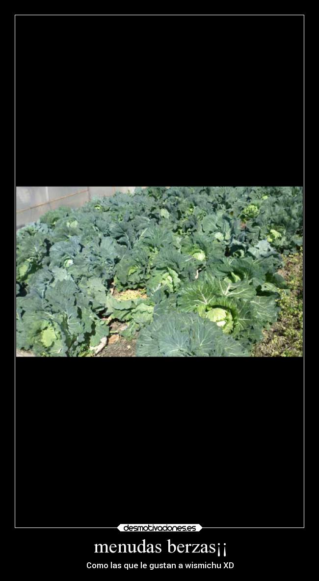 menudas berzas¡¡ - 