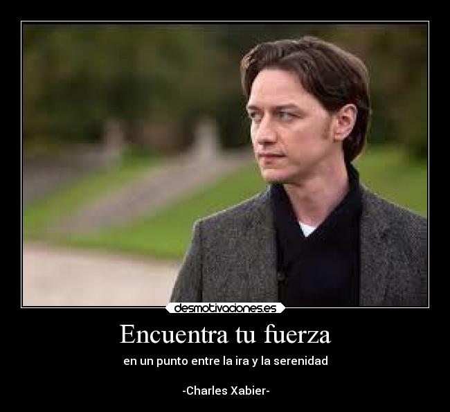 carteles cine peliculas xmen charles xabier erik lensherr fuerza ira serenidad desmotivaciones