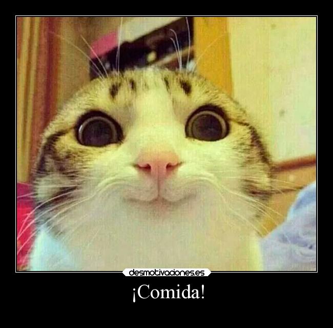 carteles comida fail desmotivaciones