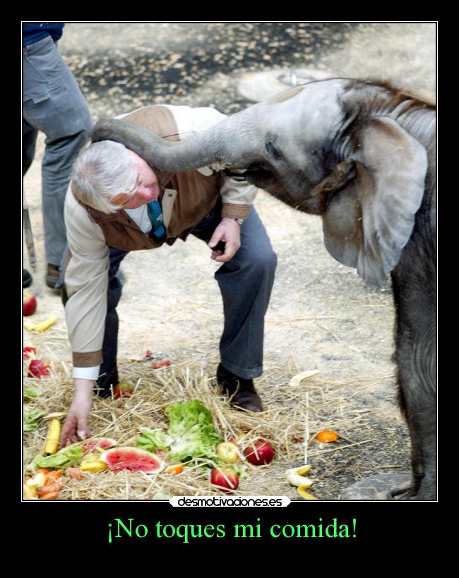 ¡No toques mi comida! - 