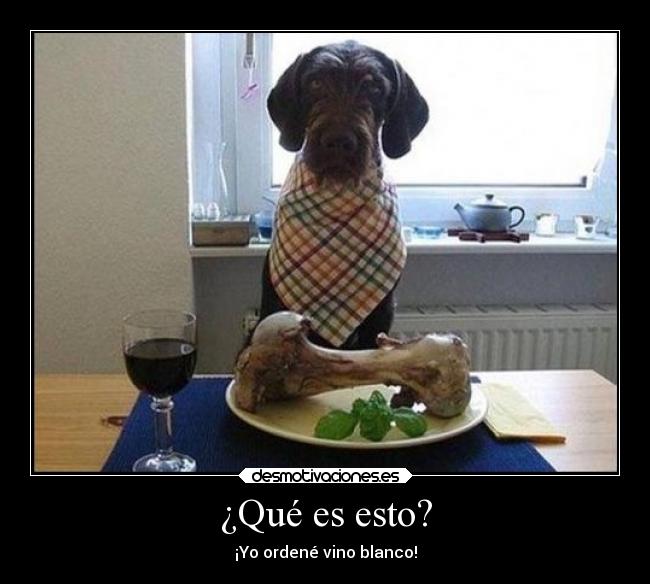 ¿Qué es esto? - ¡Yo ordené vino blanco!