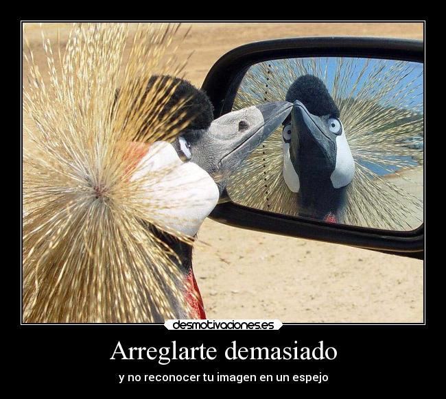 Arreglarte demasiado -